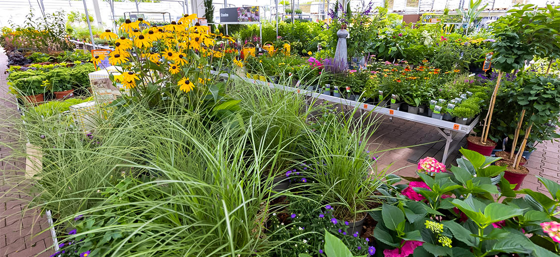 OBI Gartencenter Montabaur