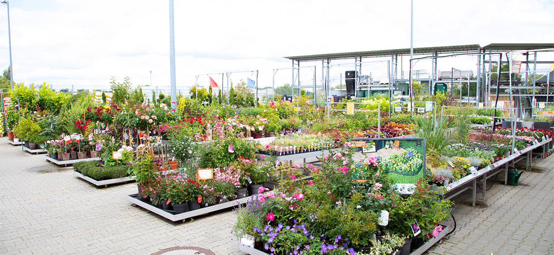OBI Gartencenter Bautzen