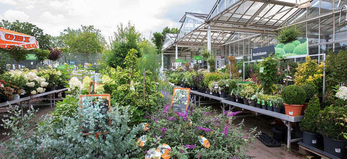 OBI Gartencenter Düsseldorf-Lierenfeld