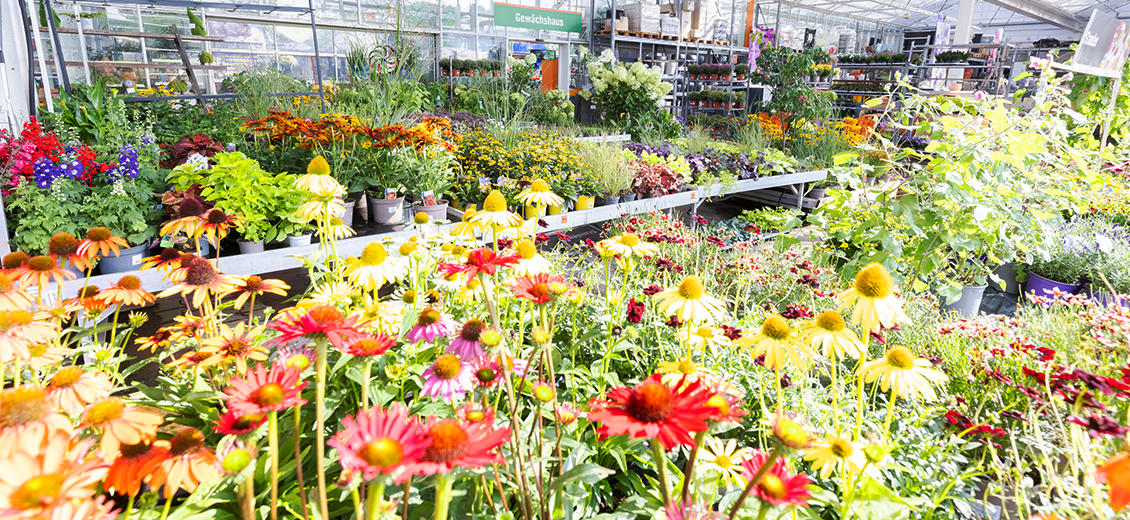 OBI Gartencenter Bielefeld-Nord