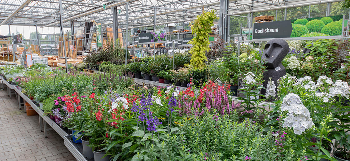 OBI Gartencenter Herzogenrath