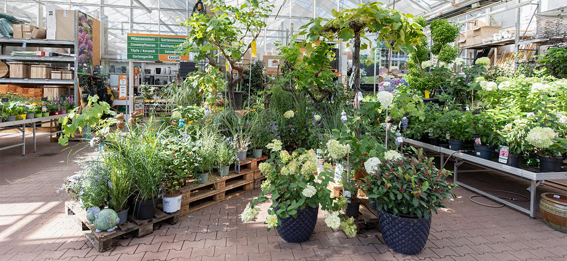 OBI Gartencenter Konstanz