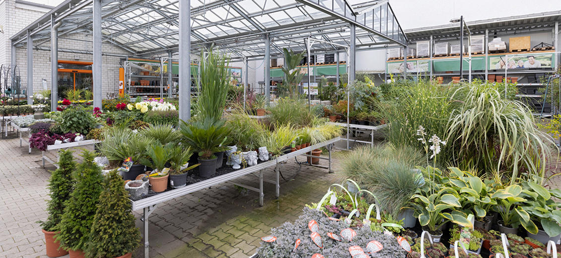 OBI Gartencenter Lingen