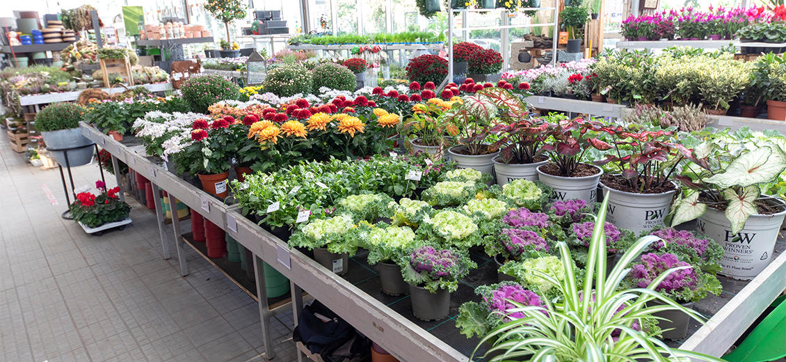 Obi Markt Bergisch Gladbach-bensberg An Der Bahn Bergisch Gladbach Dein OBI Markt Bergisch Gladbach-Bensberg, An der Bahn 3