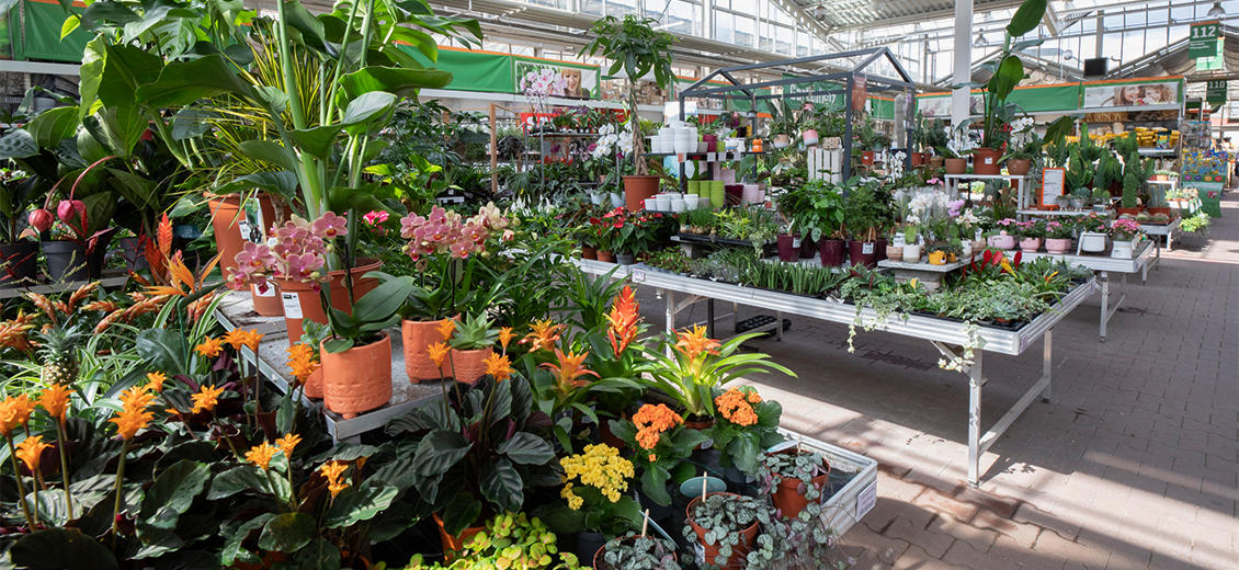 OBI Gartencenter Düsseldorf-Lierenfeld