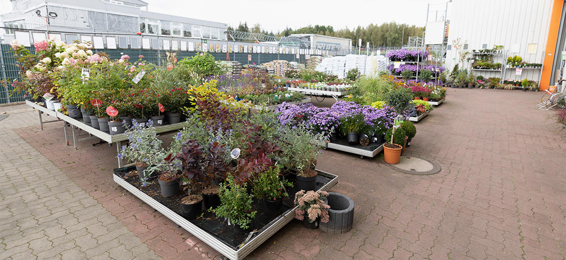 OBI Gartencenter Rotenburg-Wümme