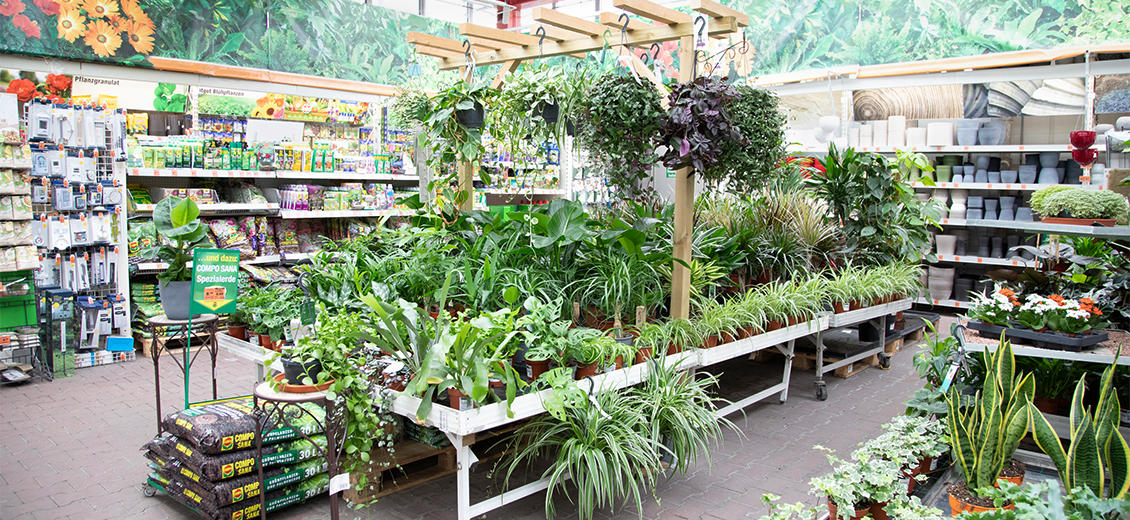 OBI Gartencenter Borna