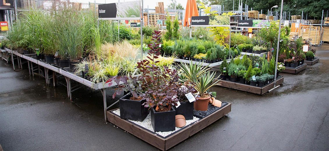 OBI Gartencenter Borna