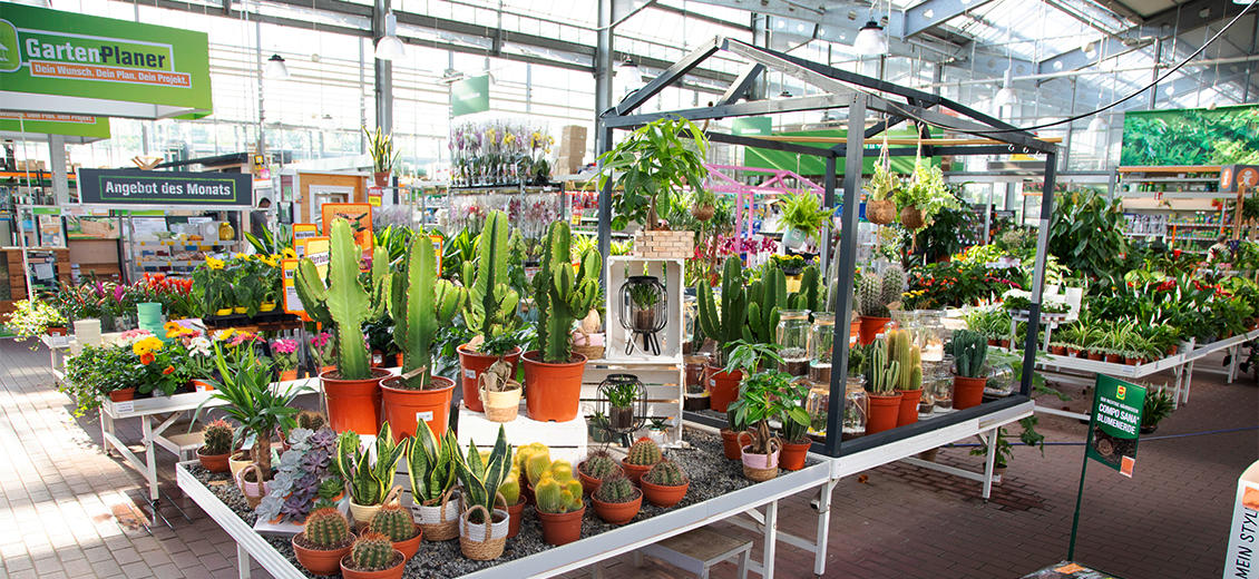 OBI Gartencenter Weimar-Süßenborn