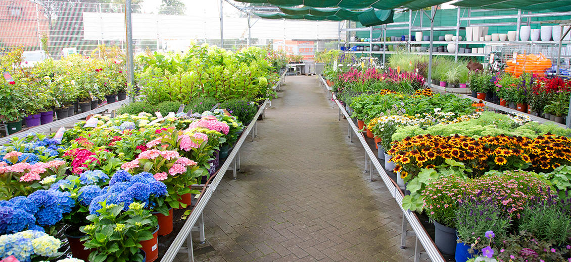 OBI Gartencenter Hagenow