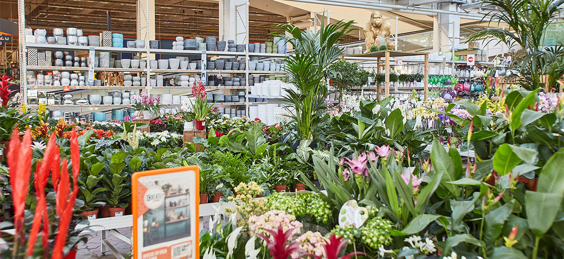 OBI Gartencenter Landshut