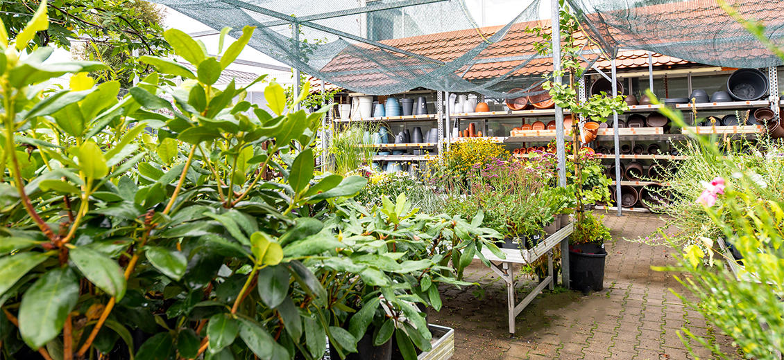 OBI Gartencenter Isny