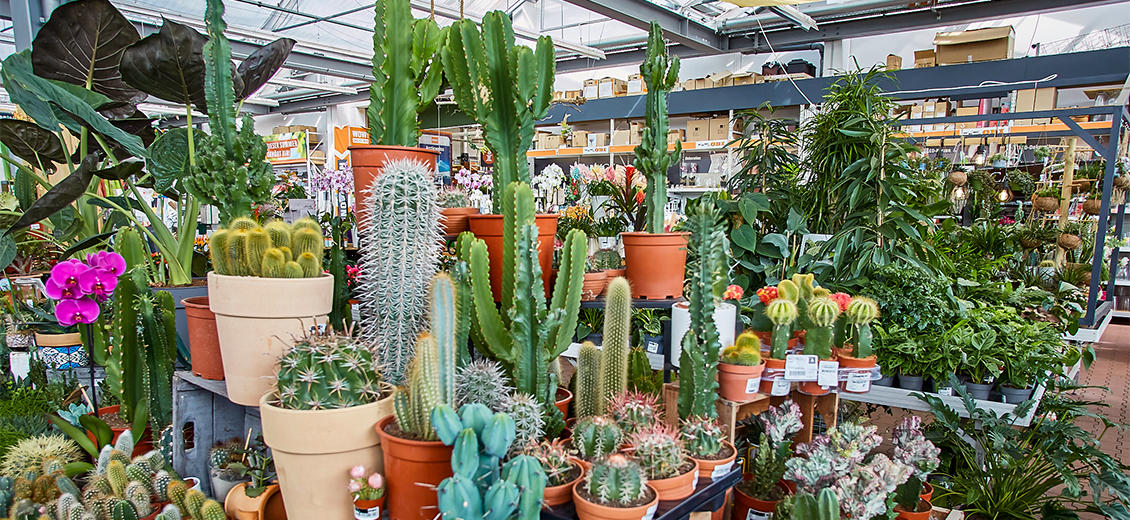 OBI Gartencenter Pocking