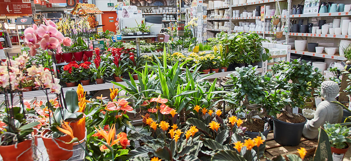 OBI Gartencenter Jettingen-Scheppach