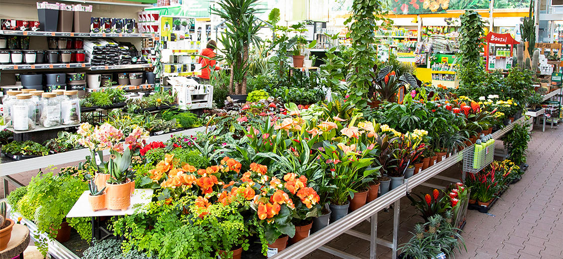 OBI Gartencenter Dresden Weißig