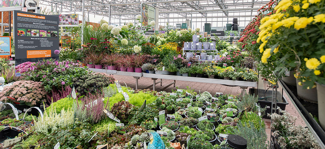 OBI Gartencenter Bonn-Nord