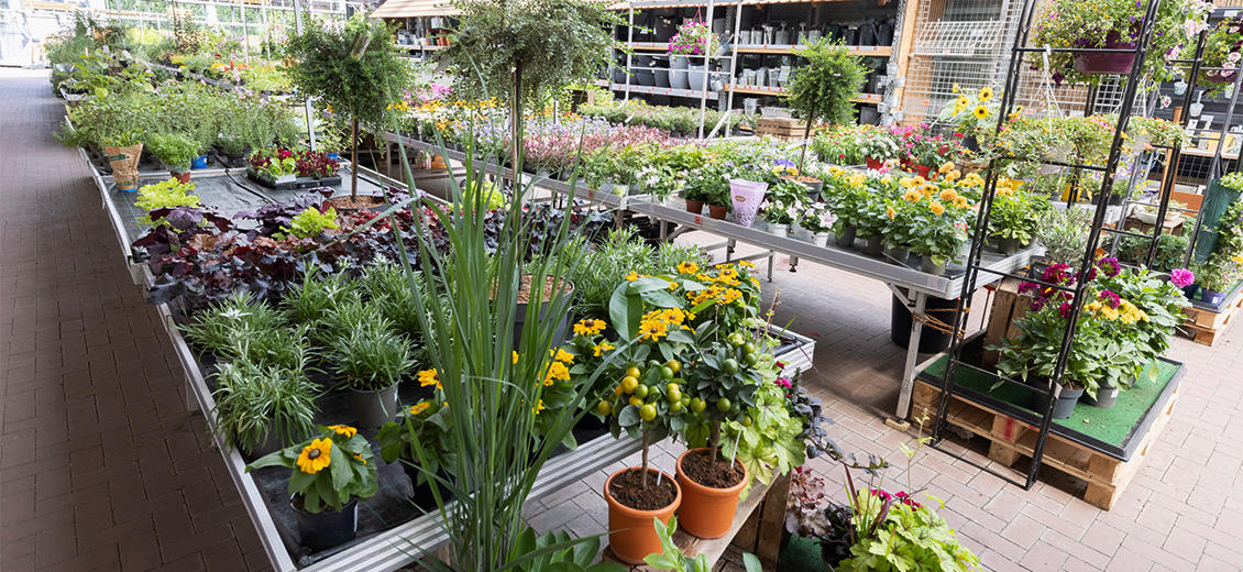 OBI Gartencenter Borken