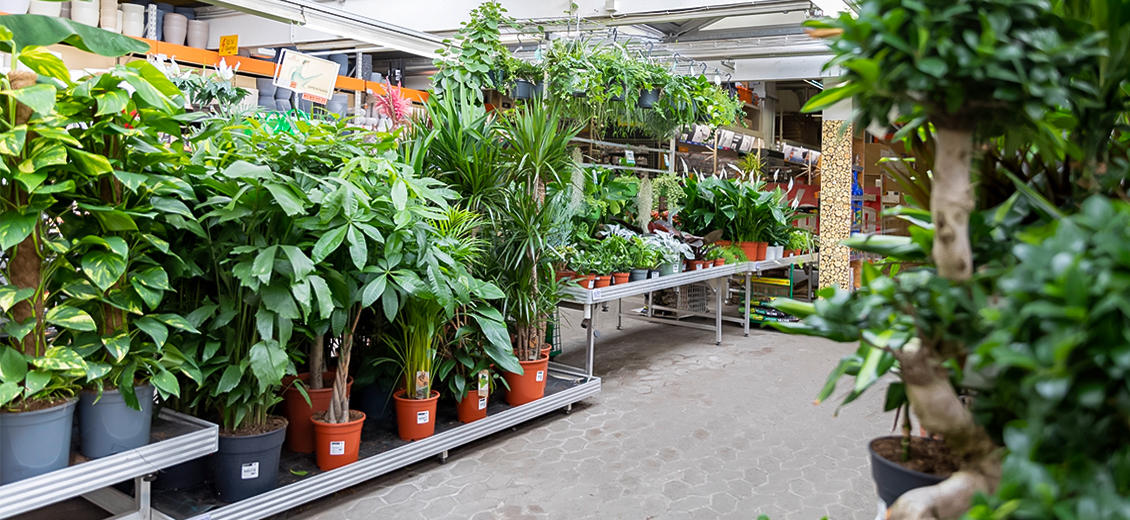 OBI Gartencenter Frankfurt-Sachsenhausen