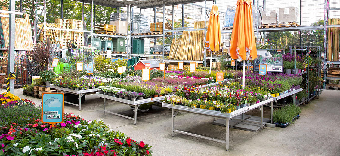 OBI Gartencenter Dresden Seidnitz