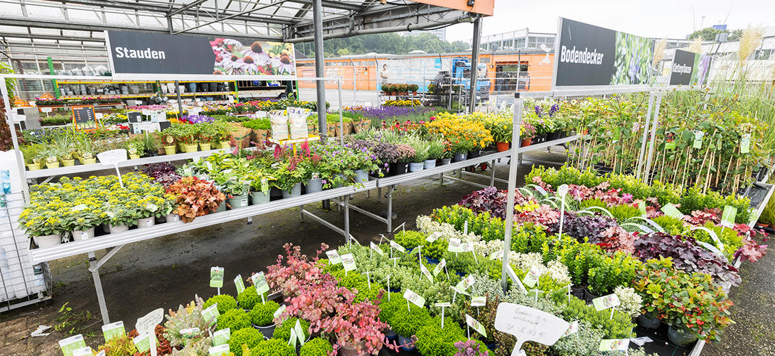 OBI Gartencenter Aachen Roermonder Straße