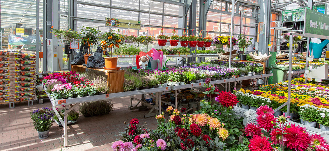 OBI Gartencenter Papenburg