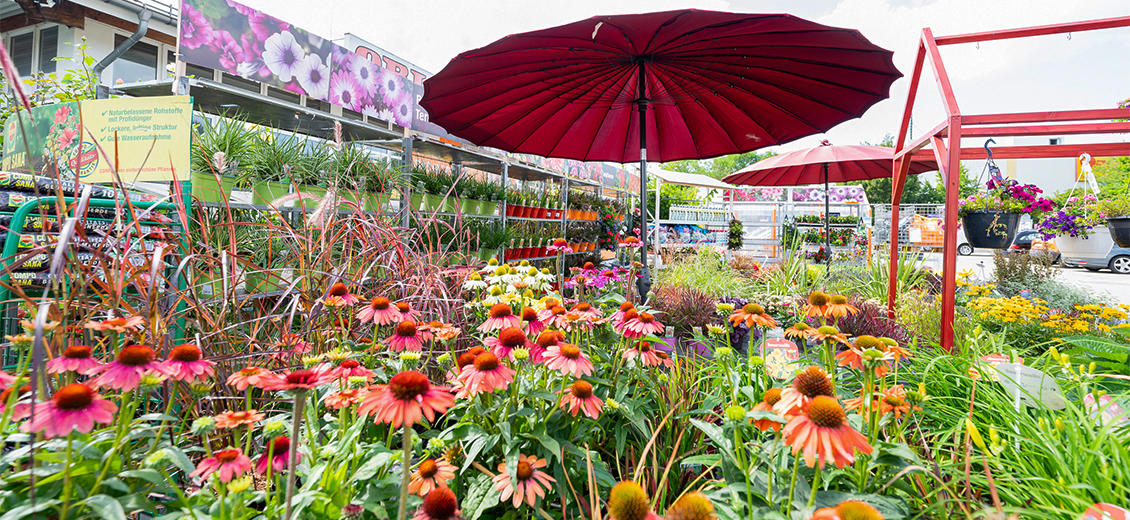 OBI Gartencenter Amberg