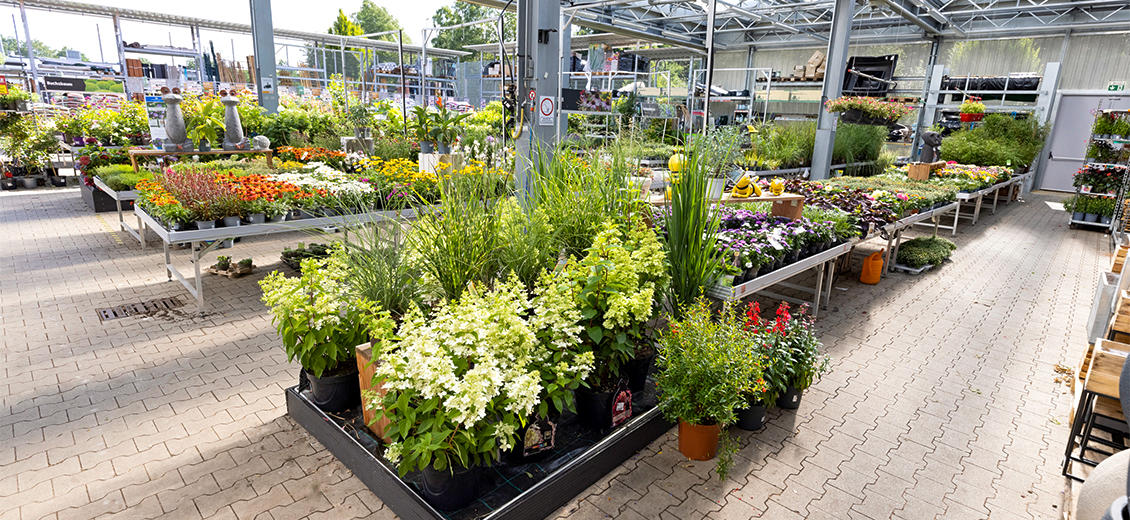 OBI Gartencenter Olpe