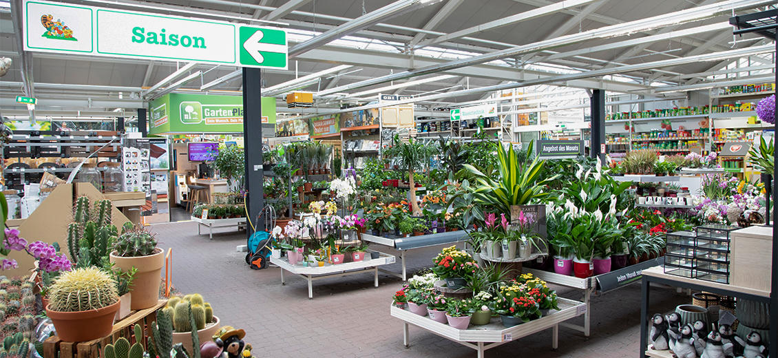 OBI Gartencenter Torgelow