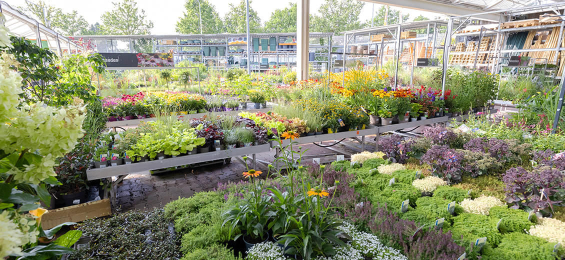 OBI Gartencenter Bielefeld-Nord