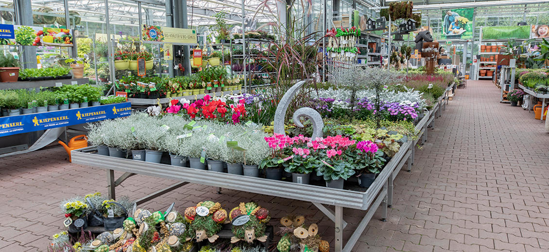 OBI Gartencenter Herzogenrath