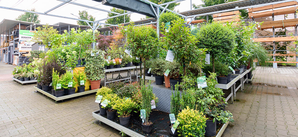 OBI Gartencenter Biberach