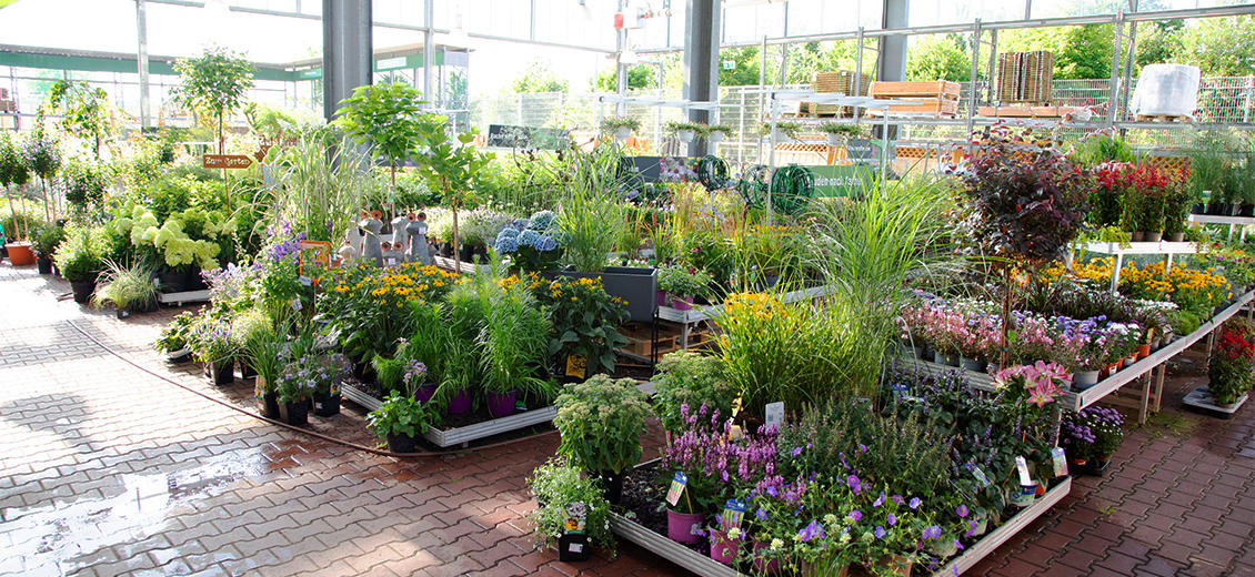 OBI Gartencenter Weimar-Süßenborn