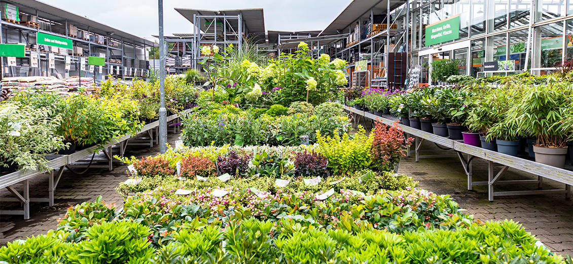 OBI Gartencenter Rösrath