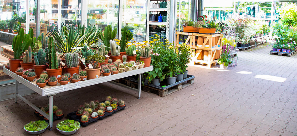 OBI Gartencenter Kamenz