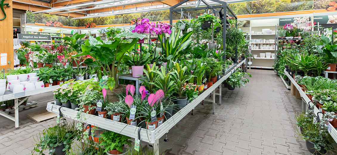 OBI Gartencenter Euskirchen