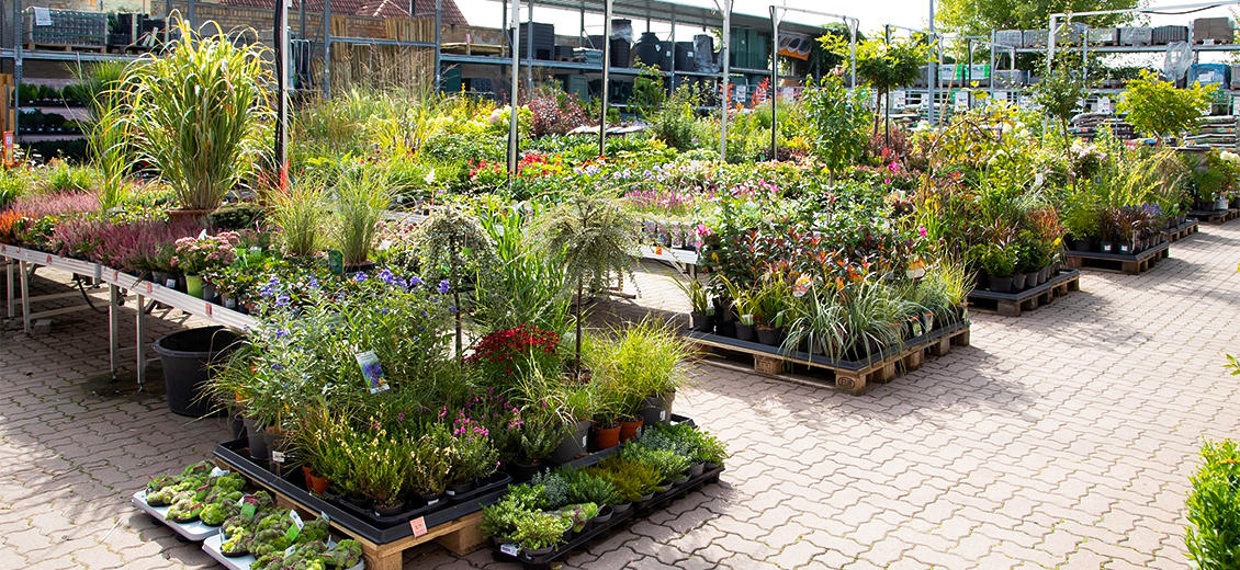 OBI Gartencenter Halle