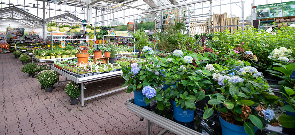 OBI Gartencenter Düsseldorf Rath