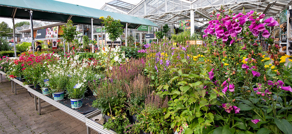 OBI Gartencenter Düsseldorf Rath