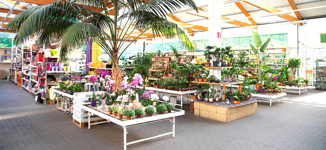 OBI Gartencenter Parchim