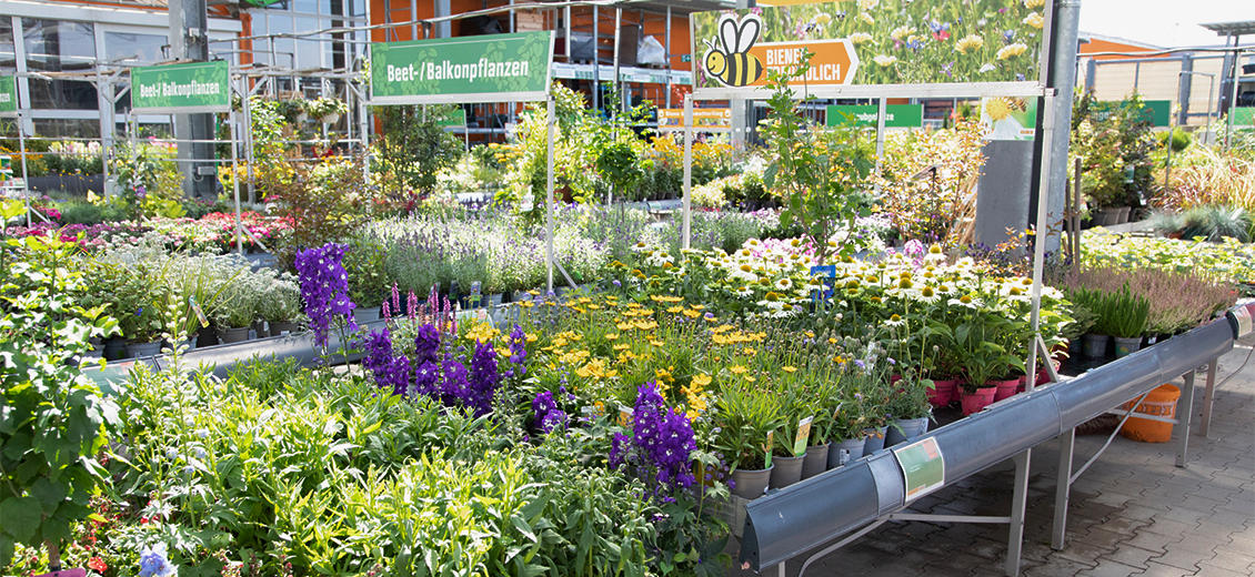 OBI Gartencenter Ebersbach