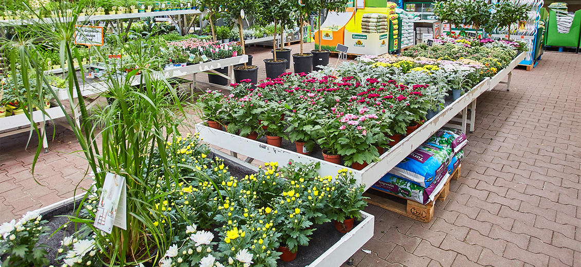 OBI Gartencenter Lindau