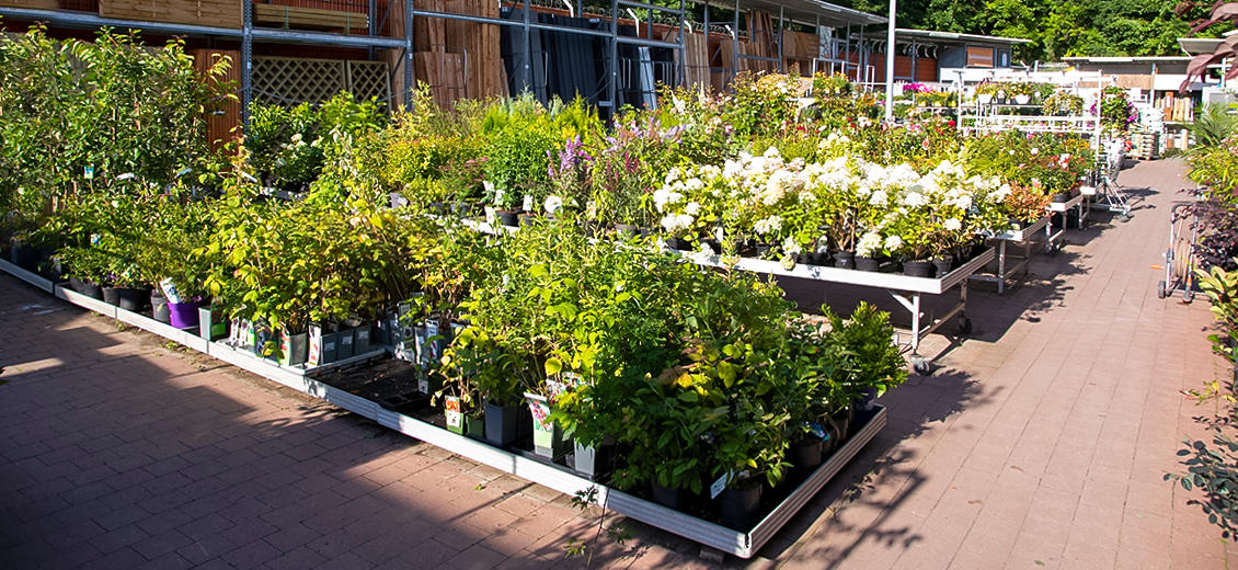 OBI Gartencenter Rudolstadt