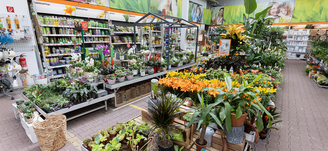 OBI Gartencenter Kaiserslautern