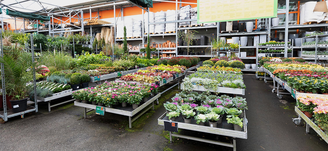 OBI Gartencenter Freistadt