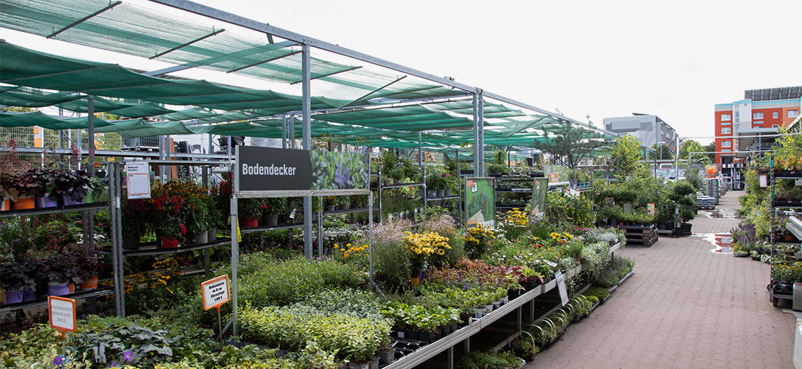 OBI Gartencenter Neuruppin