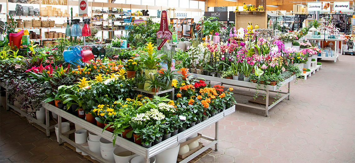 OBI Gartencenter Gardelegen