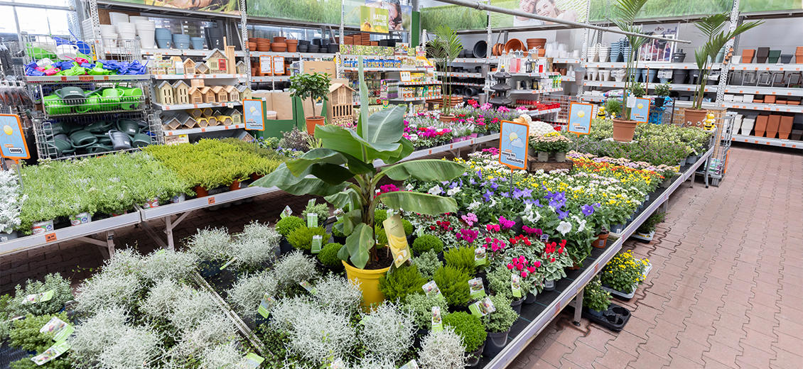 OBI Gartencenter Sinzig