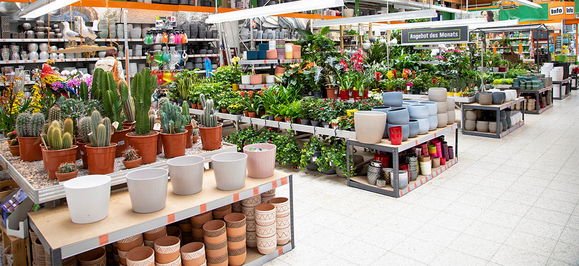 OBI Gartencenter Greifswald