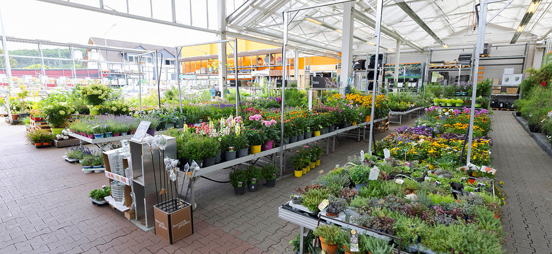 OBI Gartencenter Haiger