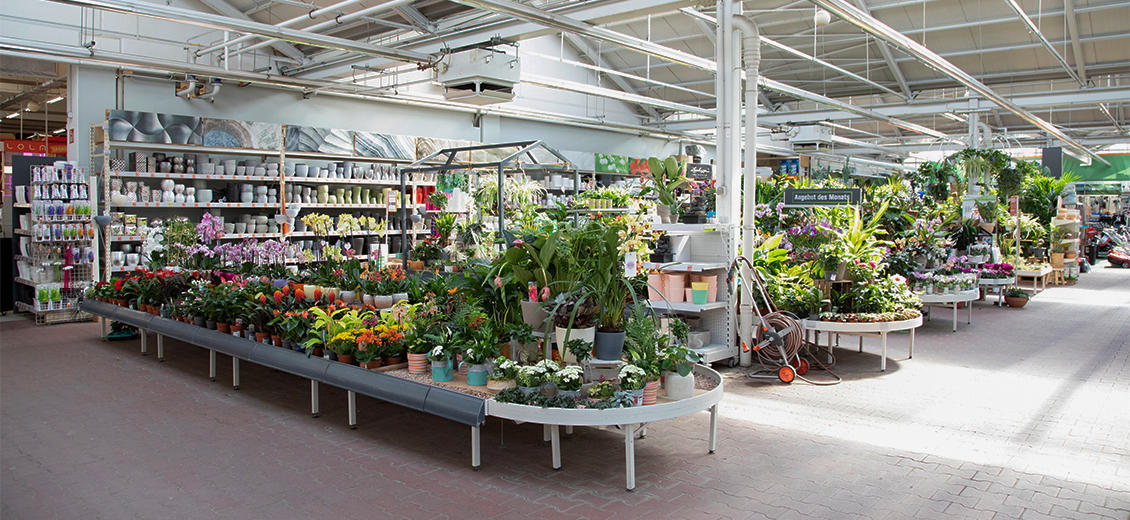 OBI Gartencenter Pirna